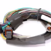 Haltech Elite 1500 + Basic Universal Wire-in Harness Kit Length: 2.5m (8') - Image 5