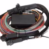 Haltech Elite 1500 + Premium Universal Wire-in Harness Kit Length: 2.5m (8') - Image 4