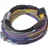 Haltech Elite 550 + Basic Universal Wire-in Harness Kit - Image 4