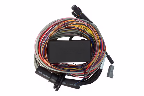 Haltech Elite 750 + Premium Universal Wire-in Harness Kit Length: 2.5m (8') - Image 4
